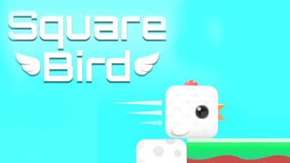 Square Bird